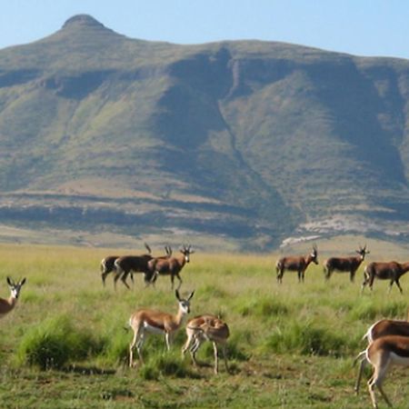 Moolmanshoek Private Game Reserve Hotel Ficksburg Exterior foto