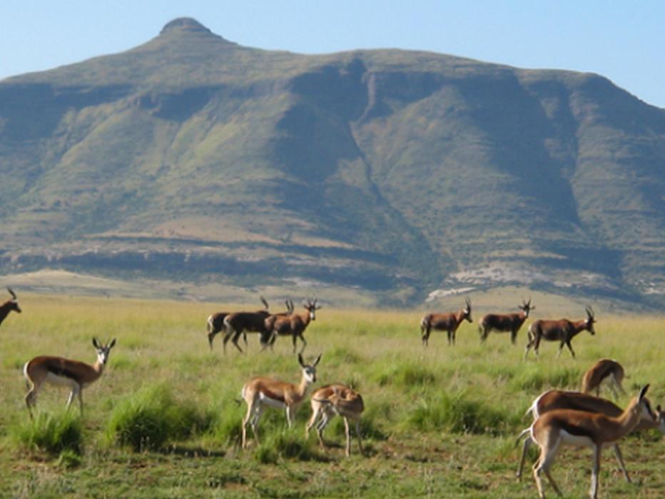Moolmanshoek Private Game Reserve Hotel Ficksburg Exterior foto